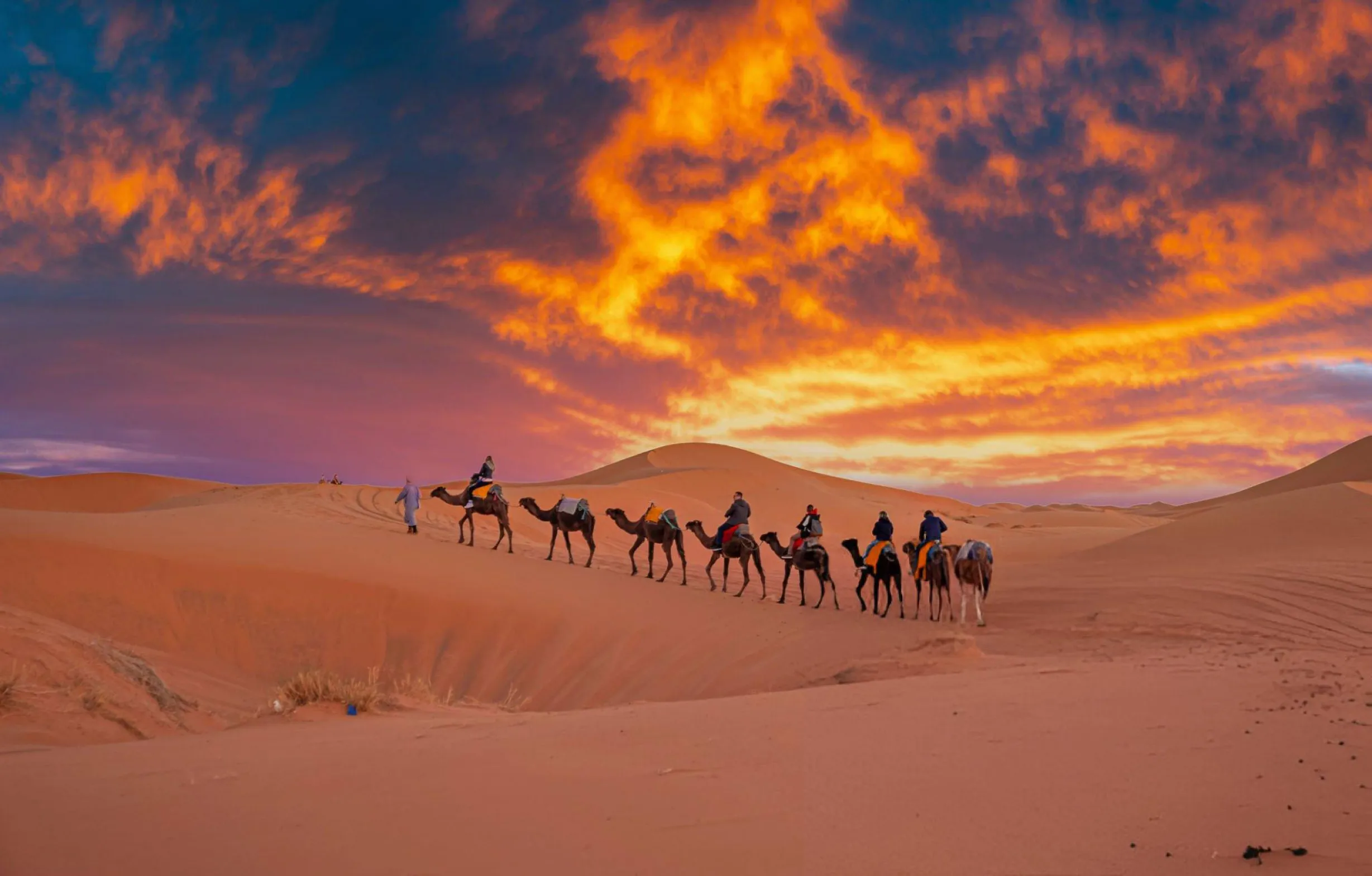 14 Days Luxury Tour from Casablanca