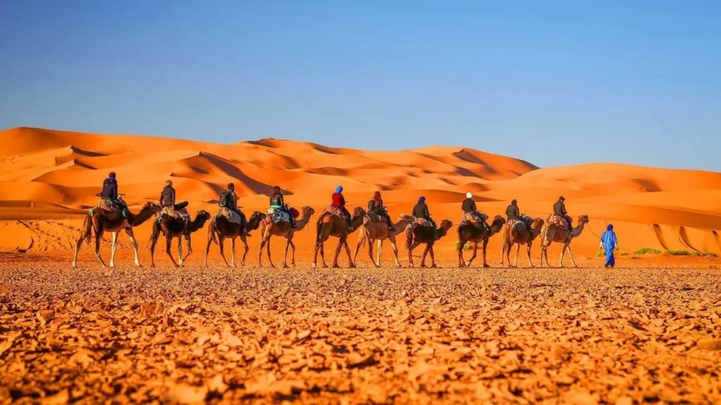 14 Days Luxury Tour from Marrakech