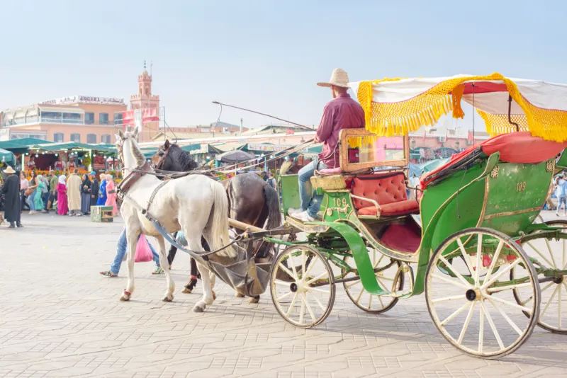 15 Days Luxury Tour from Marrakech
