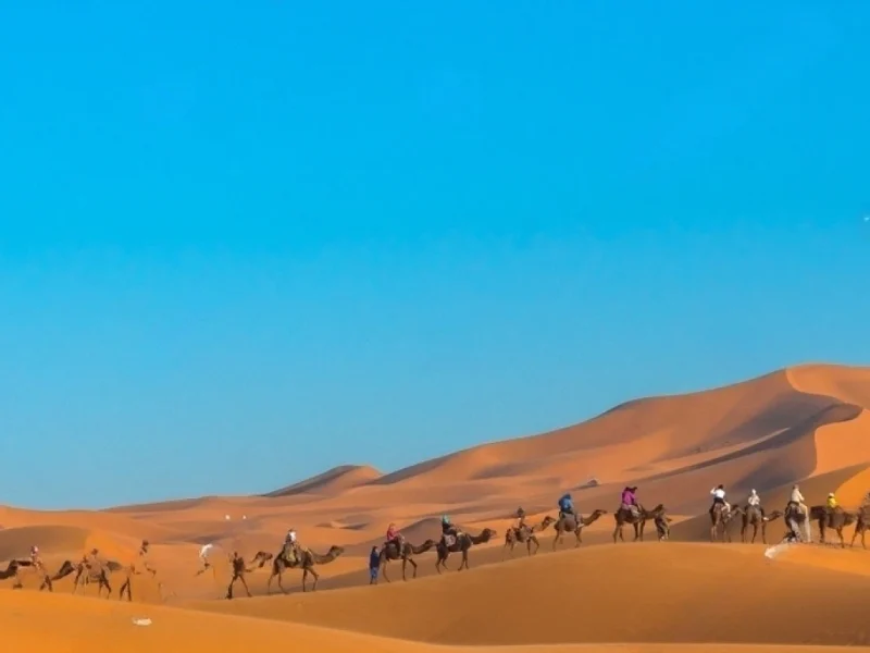7 Days Luxury Tour from Casablanca