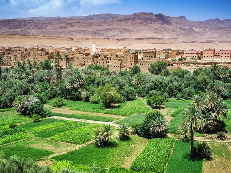 7 Days Luxury Tour from Fes