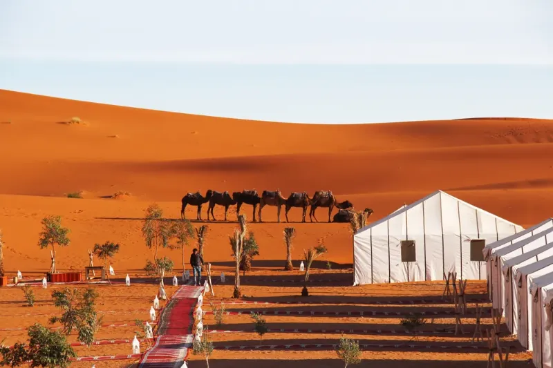 9 Days Luxury Tour from Marrakech