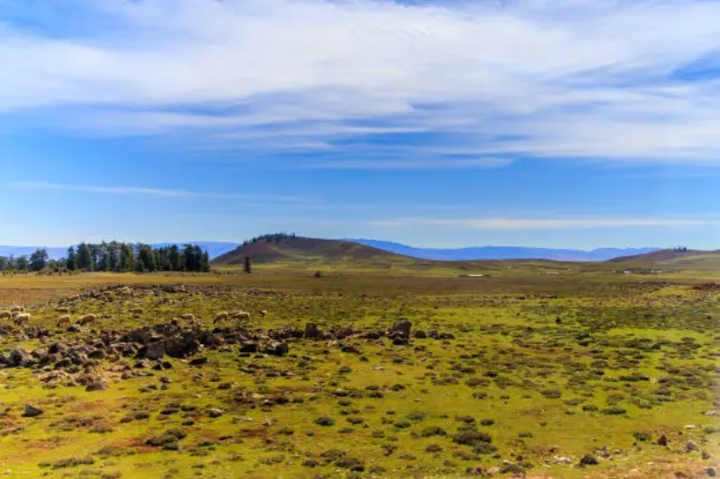 11 Days Luxury Tour from Marrakech